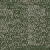 9708005 Moss