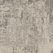 9949004 Parchment