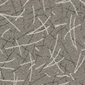 9952003 Nickel