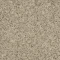 Canyon A03903