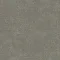 Cool Ash A01203