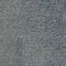 Eucalyptus 1949006