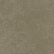 Płytki winylowe LVT Interface Walk of Life Warm Ash A01201