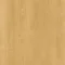 Honey-7895