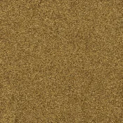 Wykładzina dywanowa w rolce Balsan Feelings 350