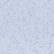 Wykładzina elastyczna PCV Grabo1905 Triumph Silver Knight Opal