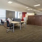 Płytki i panele winylowe SPC Grabo1905 Domino Plankit SPC Compact