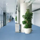 Wykładzina elastyczna PCV Grabo1905 Fortis Silver Knight